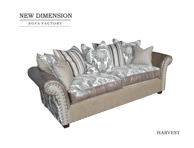 New Dimension style photo